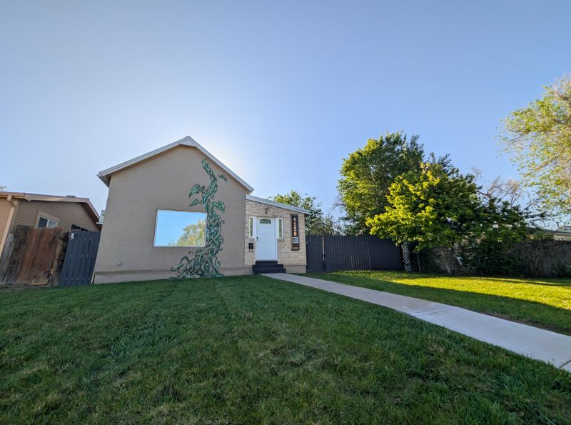 Welcome to the Denver Oasis