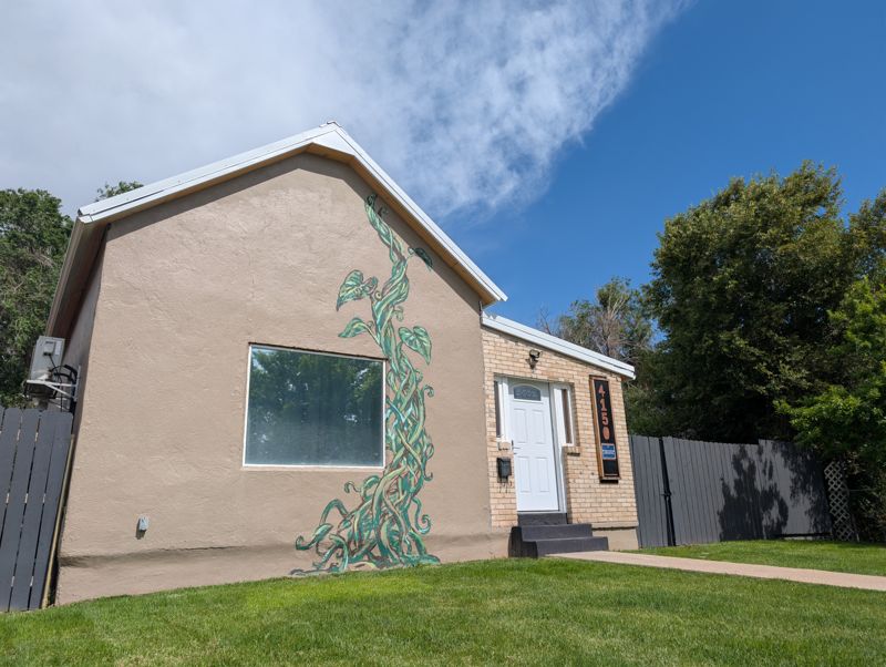 Backyard and mural